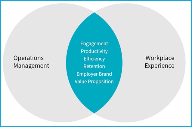 Intersection Ops Mgt and Workplace Exp