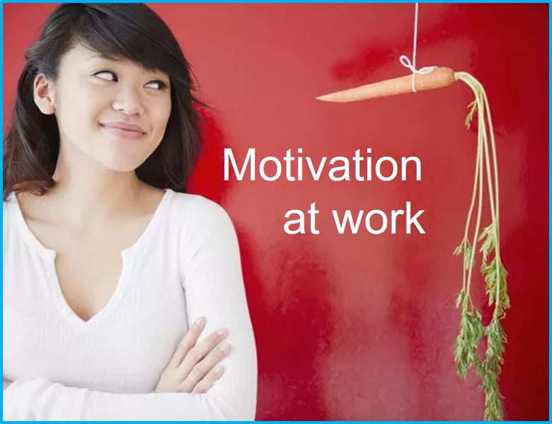 Intrinsic Motivation at work Tacomob 16Dec19