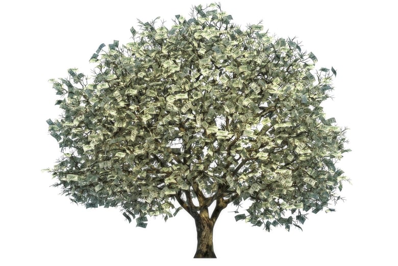 money-tree